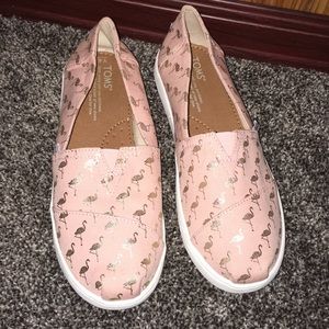 Flamingo Toms